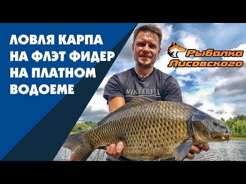 Видео: Ловля карпа на флэт фидер на платном водоеме