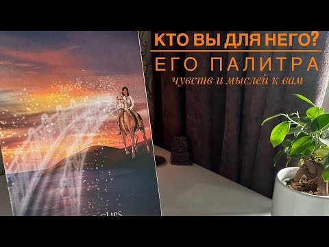 Видео: Кто вы для него? Его палитра чувств и мыслей к вам.