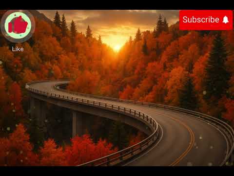 Видео: Ничего не успевая, невестка попросила свекровь забрать её свадебное платье из ателье. А на свадьбе..