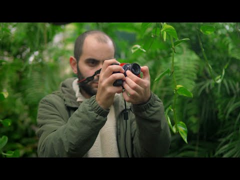 Видео: САМЫЕ ДЕШЕВЫЕ КИНООБЪЕКТИВЫ для EOS M RAW!