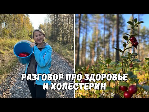 Видео: Удивлена повышенному холестерину! (Влог #200)