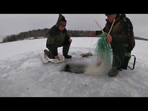 Видео: Проверка сетей зимой! Попала много леща!