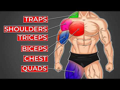 Видео: Упражнение №1 для каждой группы мышц (мужчины старше 40 лет)