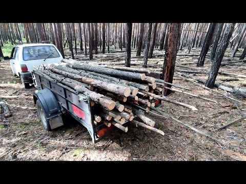Видео: готовим дрова . серия √ 2 .#штиль #дрова #лес