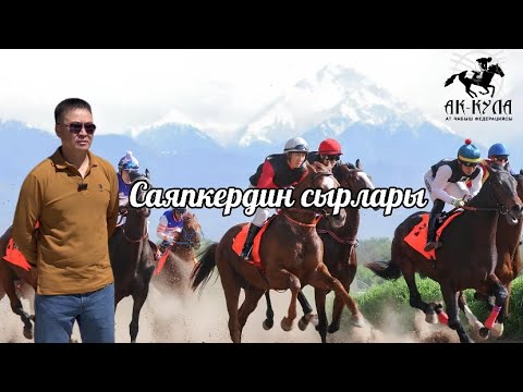 Видео: 2-чыгарылыш Саяпкердин сырлары  Батыркулов Жениш