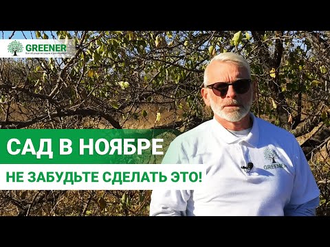 Видео: ЭТО НУЖНО СДЕЛАТЬ! Работы в саду в ноябре. Подготовьтесь к зиме правильно!