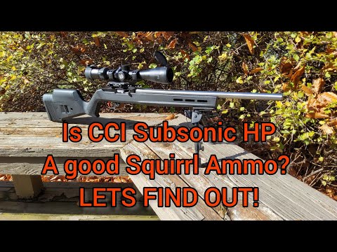 Видео: Подходит ли CCI Subsonic HP .22LR для «Белки»? Давайте выясним!