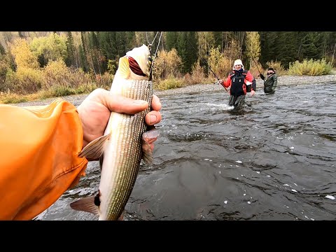Видео: Они как Кабаны..! Ловля Хариуса на Тирольку…! На Краю Земли - 4 День!!!