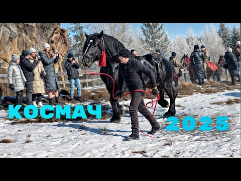 Видео: 🐎 ВИСТАВКА КОНЕЙ У КОСМАЧ – 100 КОНЕЙ ТА УНІКАЛЬНІ УПРЯЖІ🔥