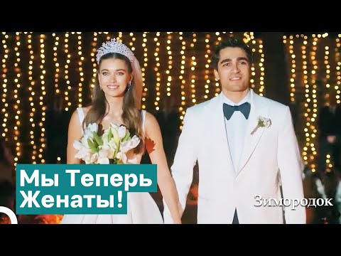 Видео: Сейран И Ферит Поженились! | Зимородок