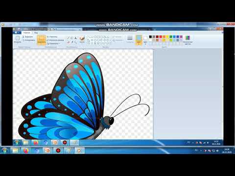 Видео: обработка растровых изображений 5 класс