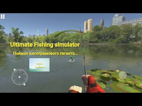 Видео: Поймал форель 1кг!но в Ultimate Fishing Simulator | ZarubinsFishing #рек #рыбалка #fishing #форель