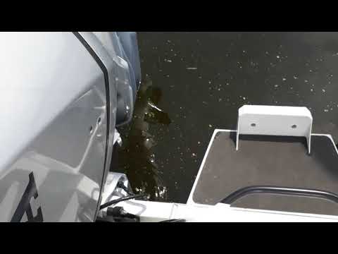 Видео: Катер Волжанка 67 кабин ,анодная защита корпуса судна