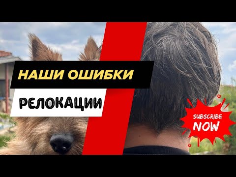 Видео: Наши ошибки при переезде. Что не так?