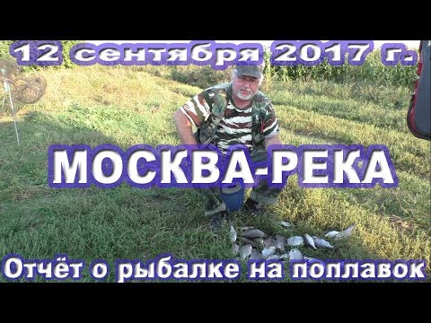 Видео: Рыбалка на Москва-реке в сентябре 2017 года на поплавочную снасть