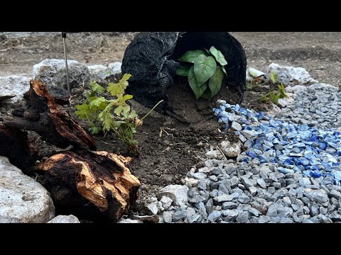 Видео: Градинска Саксия Как Се Прави