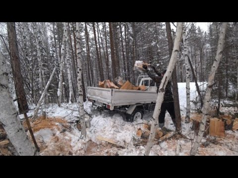 Видео: ПРИЕХАЛИ В ТАЙГУ ЗА БОЛЬШИМ ЛИСТВЯКОМ!!! НАВАЛИЛО СНЕГА!!! ЗАГОТОВКА ДРОВ !!!