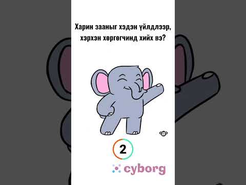 Видео: 100 тоосгоны бодлого