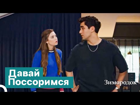 Видео: Это Взгляд Перед Ссорой... | Зимородок