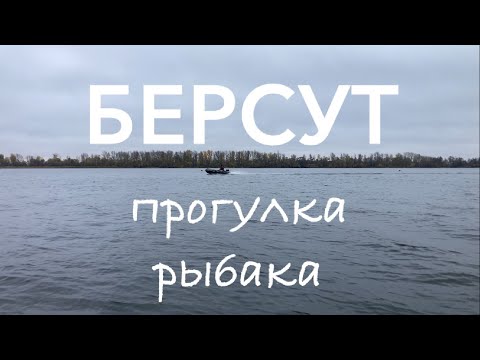Видео: река КАМА | БЕРСУТ | прогулка рыбака