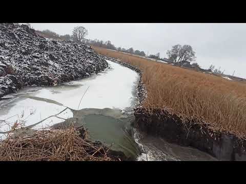 Видео: пускаем воду в мега пруд.