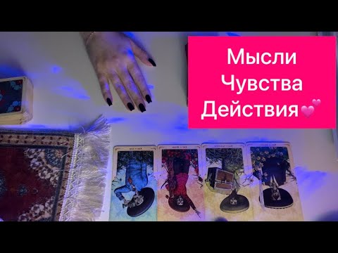 Видео: 4 короля таро: мысли чувства действия💖