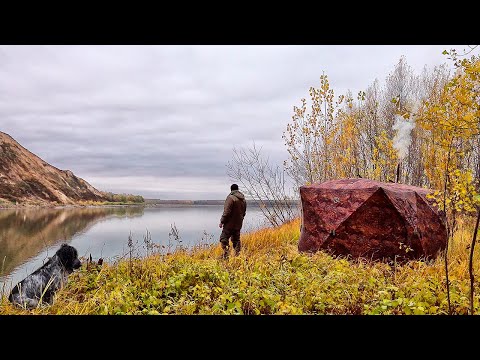 Видео: С ночёвкой на реку на два дня! Рыбалка на закидушки и спиннинг. Искали леща, но нарвались на хищника