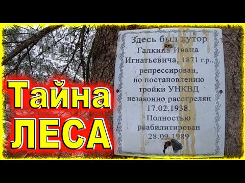Видео: Нашёл тайное место в лесу за городом