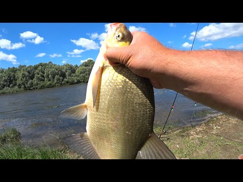 Видео: Ловля ЛЕЩА на ОКЕ ! Рыбалка на ДОНКИ! Ловля леща в июле!