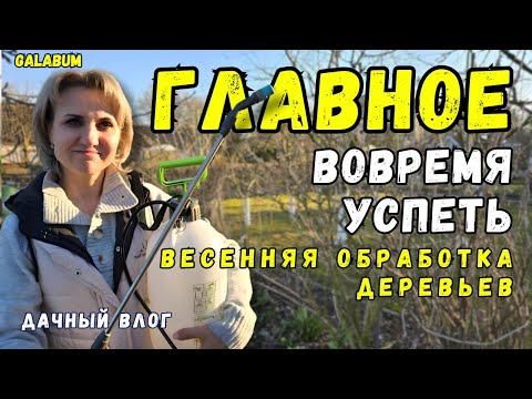 Видео: Медный купорос творит чудеса  / Рассказываем как Разводить Медный Купорос @galabum