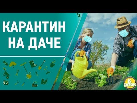 Видео: Карантин на даче. 6 соток 30.03.2020