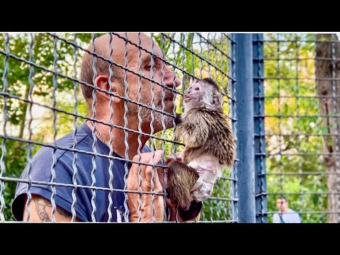 Видео: Мы тренировали Финика и тут он увидел папу Влада и как давай ЖАЛОВАТЬСЯ…