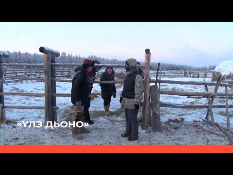 Видео: «Үлэ дьоно»  (05.02.23)