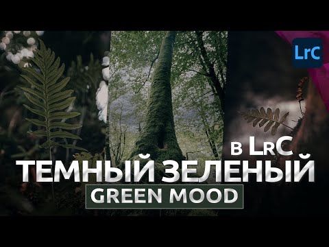 Видео: Минималистичный пейзаж / Обработка в Lightroom / RAW для урока