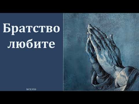 Видео: "Братство любите". П. Н. Ситковский. МСЦ ЕХБ