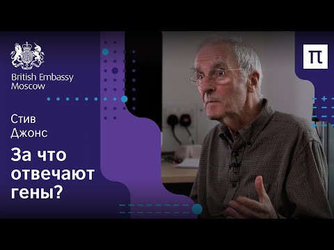 Видео: Гены и среда — Стив Джонс / ПостНаука