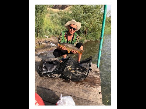 Видео: ИЛИ 12 06 2023 | ОТКРЫТИЕ