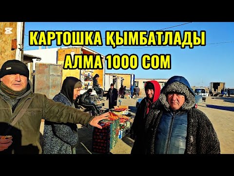 Видео: Нөкис катекс оптом базары бахалары қандай? Картошка қымбатлады 23-январ 2025