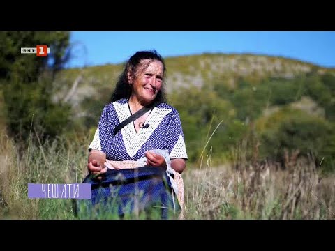 Видео: Чешити: Веселина Бойчева - 19.10.2024