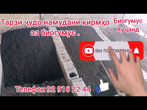 Видео: Тарзи ҷудо кардани кирми лойхураки Калифорния аз Биогумус. Биогумус Хуҷанд.