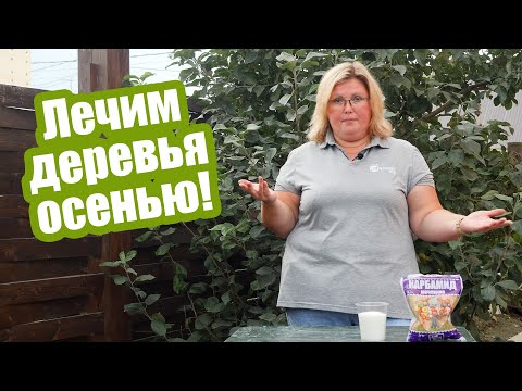 Видео: 3 лучших рецепта для обработки деревьев осенью! Мочевина против всех болезней сада!