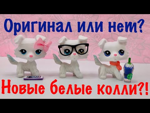 Видео: LPS: ОРИГИНАЛ ИЛИ ПЛАГИАТ? НОВЫЕ БЕЛЫЕ КОЛЛИ?!