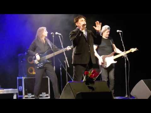 Видео: Александр Серов   Ты Меня Любишь  15 февраля  Ростов