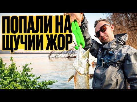 Видео: Настоящий ЖОР ЩУКИ, 19 штук ЗА ОДНО УТРО. Воблеры решают💥