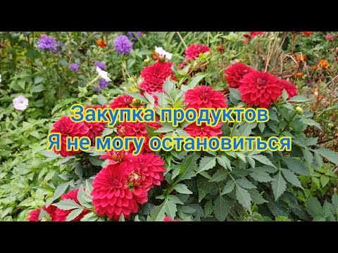 Видео: 10 сентября 2025.Насыщенный день,но все успели😁