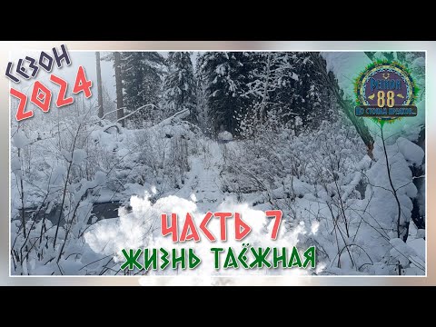 Видео: Регион 88 | Сезон 24 - Жизнь таёжная - часть 7