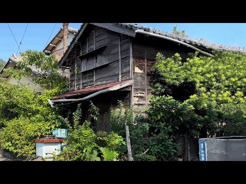 Видео: Прогулка по Хаматоме, Яидзу, Сидзуока, Япония [4K HDR]