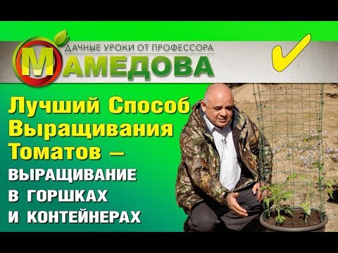 Видео: 🍅 ЭТО Лучший Способ Выращивания Томатов - выращивание в горшках и контейнерах