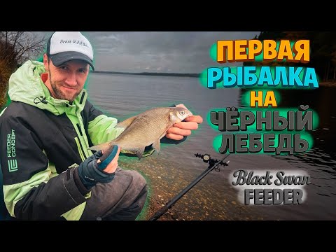Видео: Ловля ЛЕЩЕЙ на Волге осенью, думали мы! Тестируем фидера Черный Лебедь 3.9 и 4.2. Готовим КАЗАНКЕБАБ