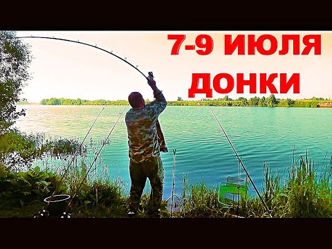 Видео: Рыбалка. Донки. Двое суток на реке с Больничкой и Афиногеном.